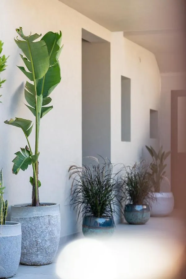 Villa Ilma Luxury Rooms Arzachena Guest house